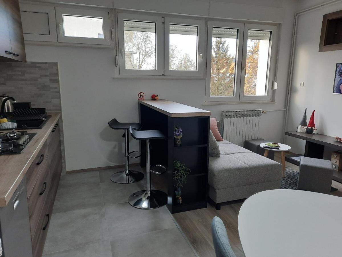 Apartman Ines Велика-Горица Экстерьер фото