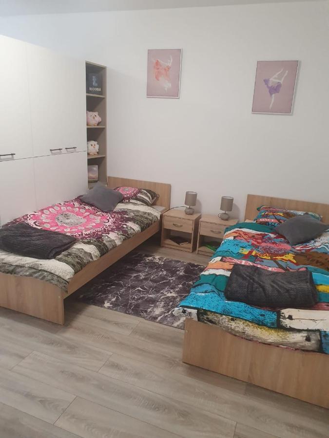 Apartman Ines Велика-Горица Экстерьер фото